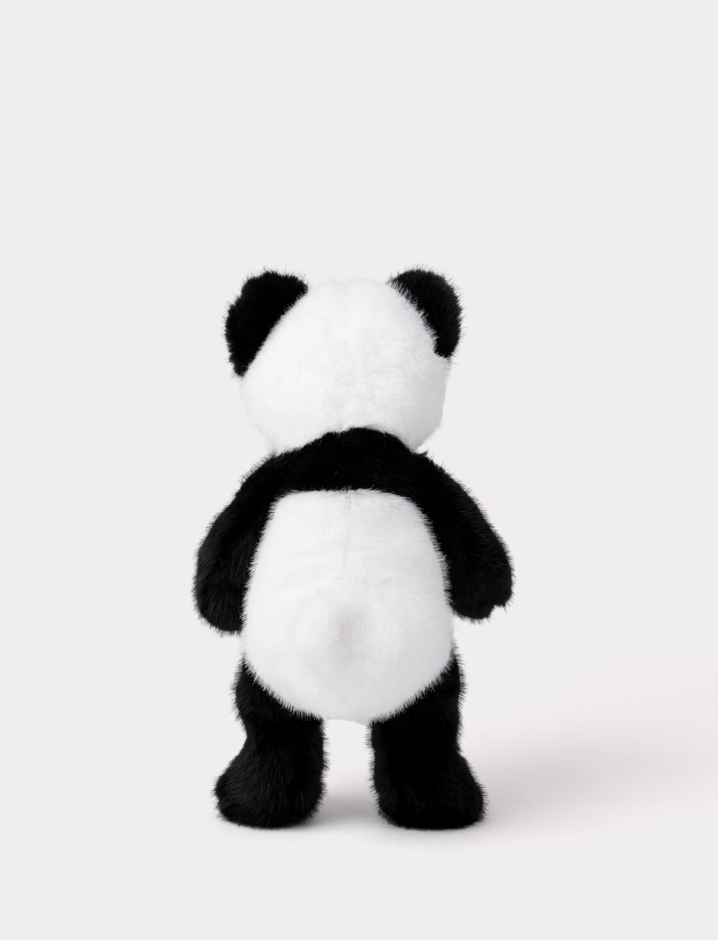 Teddy Wild, Panda