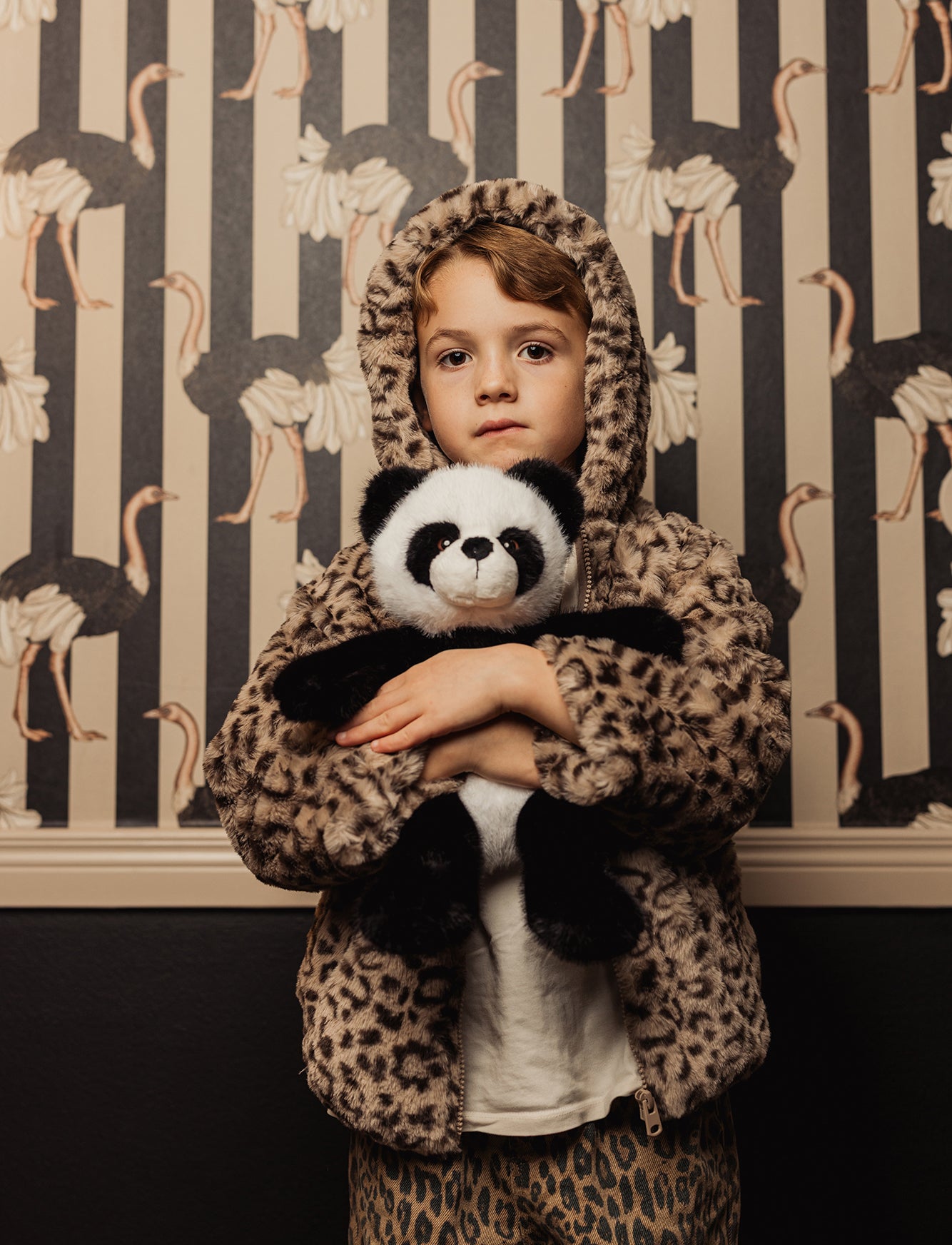  Image of Teddy Wild, Panda