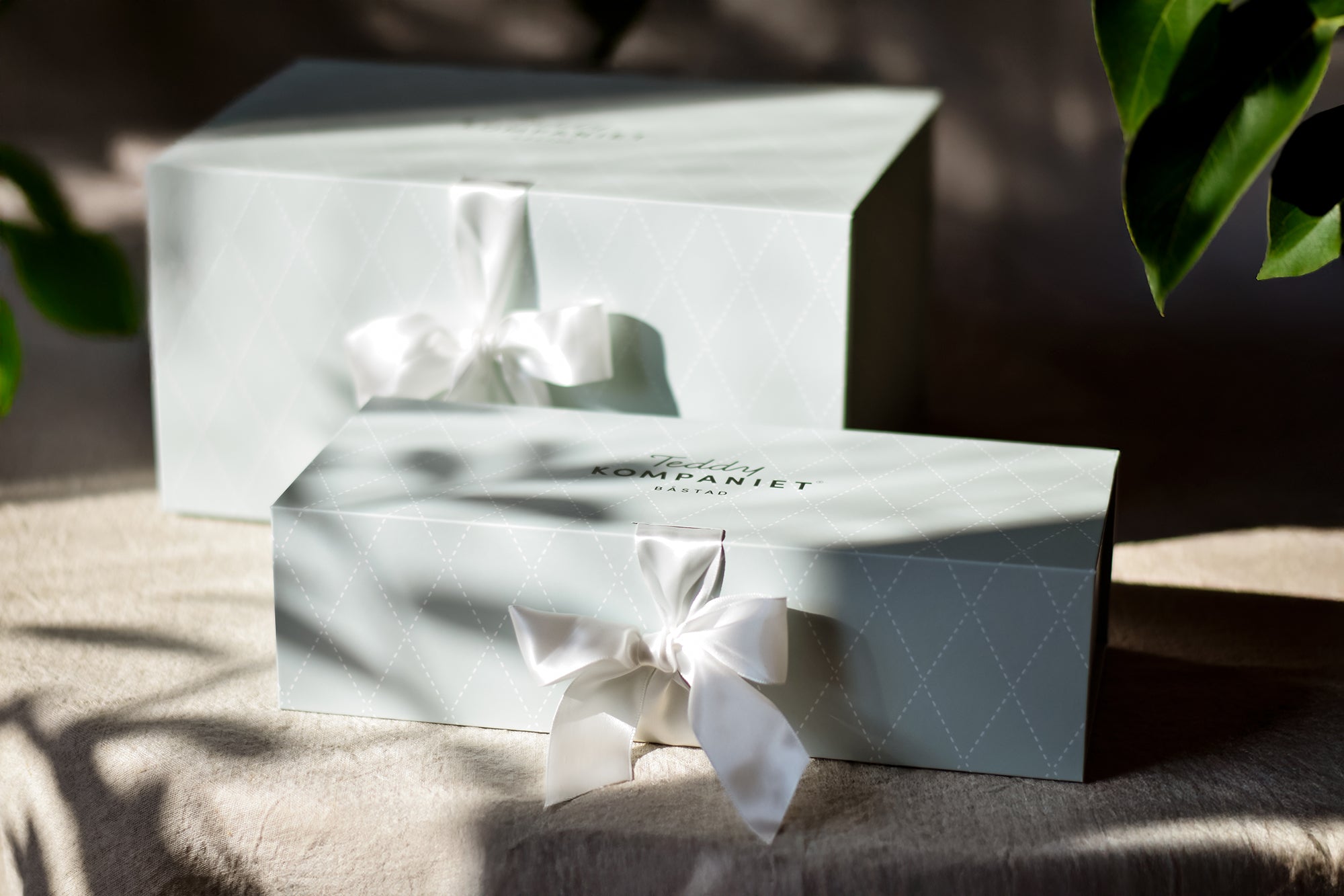  Image of files/601_602_GiftBoxesSunlight_LOW.jpg