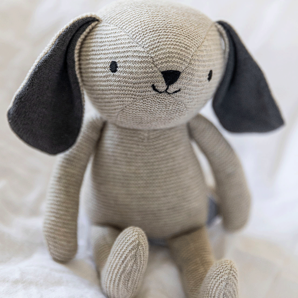  Image of files/ClothdogD.png