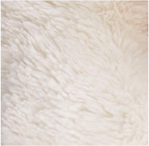  Image of files/Image_3afbb6d7-327d-4dc7-8915-d944e3d51018.png