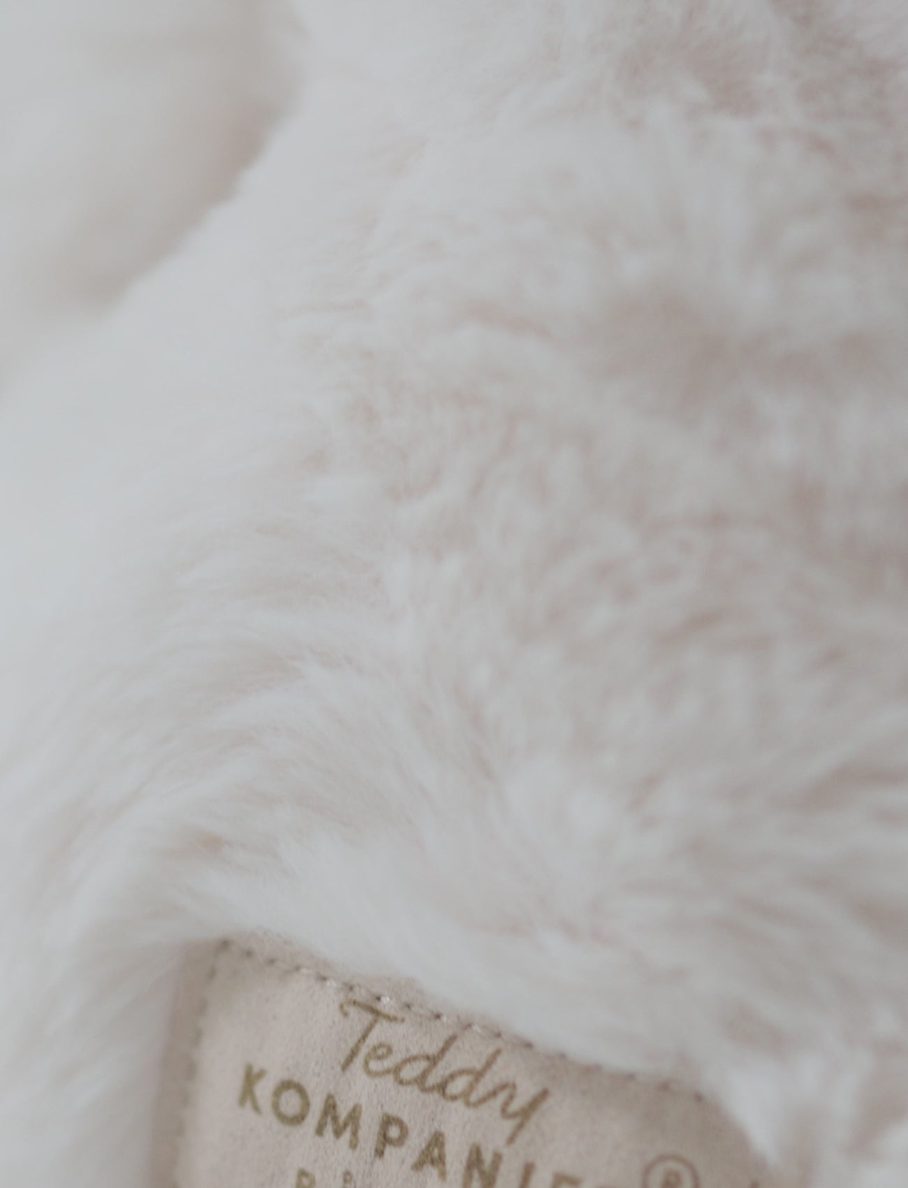  Image of files/preview_images/8a37892db2fa492880c63553de55b37f.thumbnail.0000000000.jpg