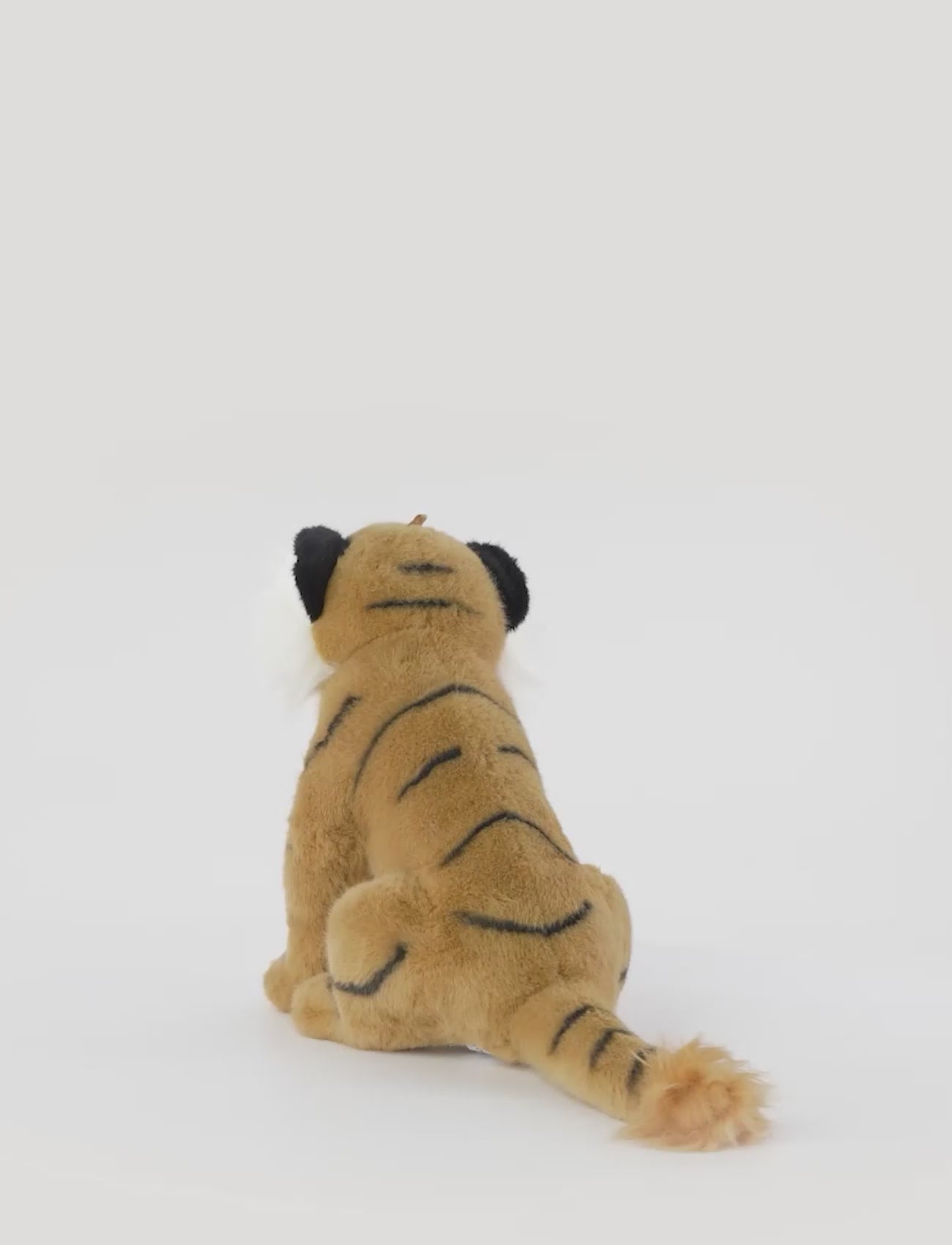  Image of files/preview_images/c8341e7306b341bdb99c7983c0138a0b.thumbnail.0000000000.jpg