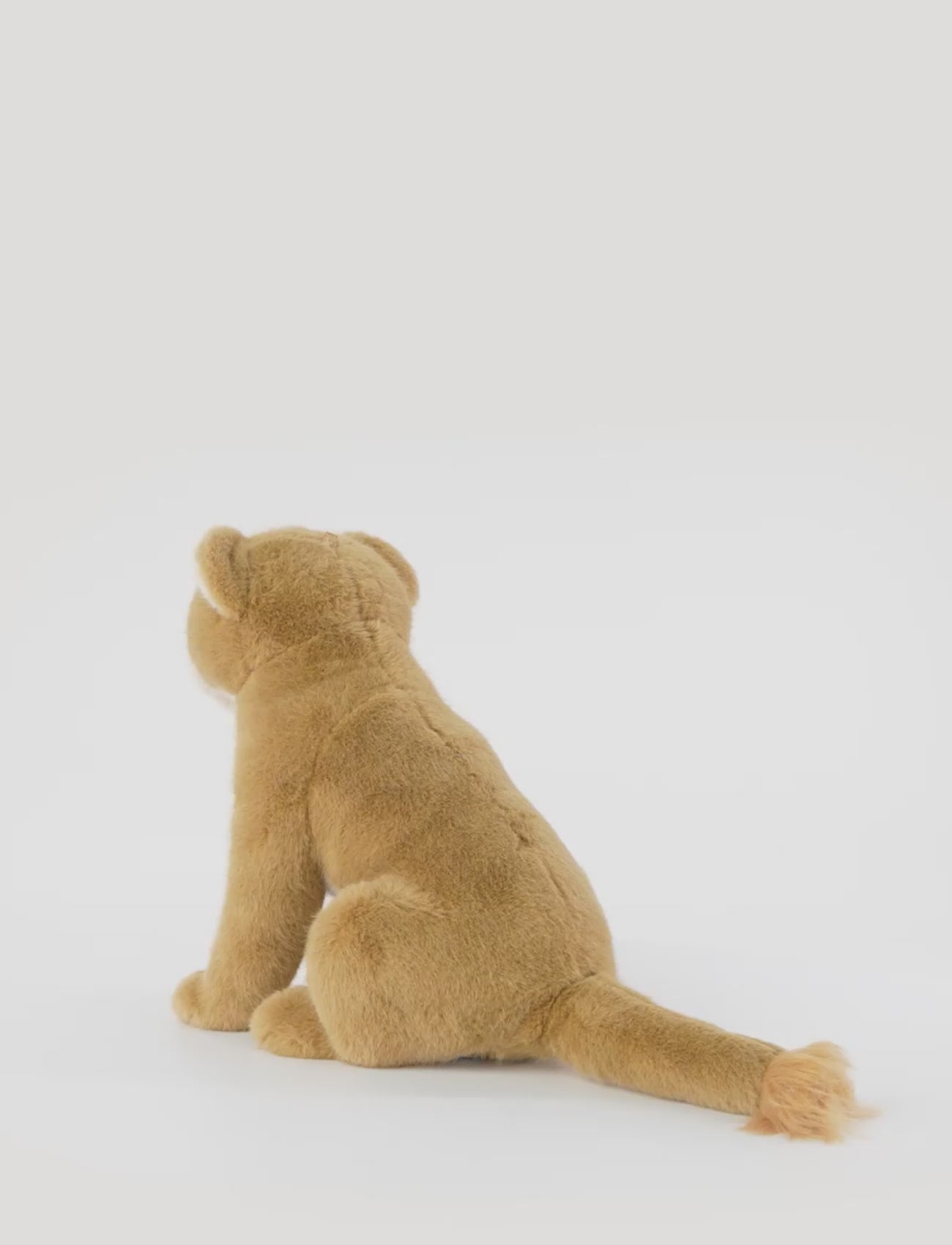  Image of files/preview_images/d88e71ac9b214b0c88c57a4f9bab5b55.thumbnail.0000000000.jpg